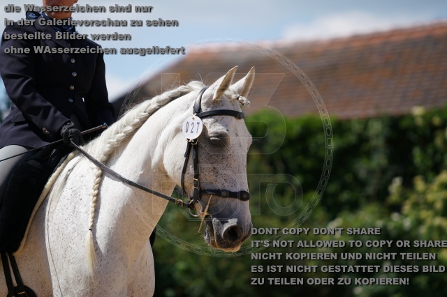 s_K3F04675.JPG